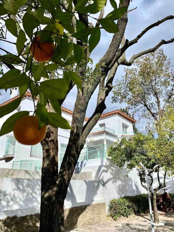 Nuevo Los Almendros 202 Complejo Turistico Διαμέρισμα Κόρδοβα Εξωτερικό φωτογραφία
