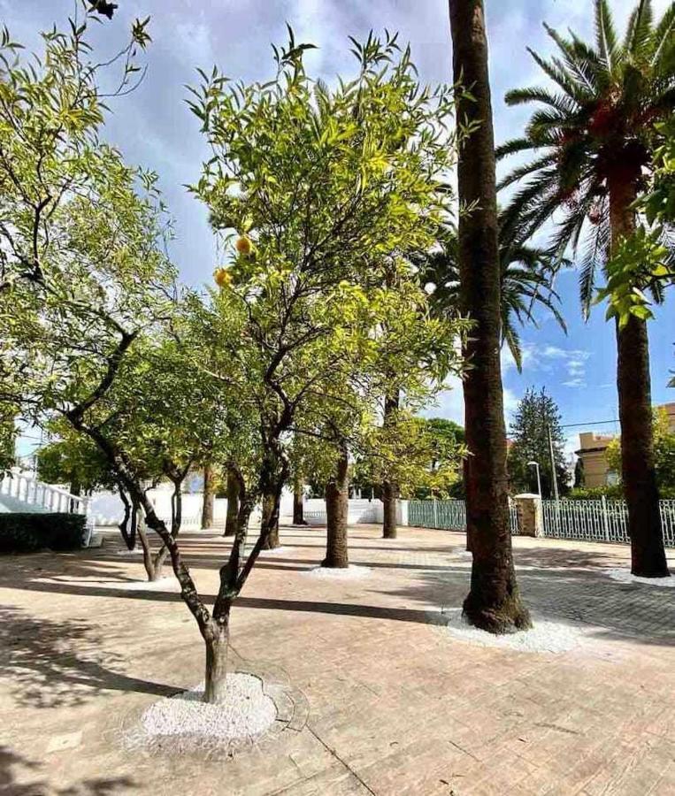 Nuevo Los Almendros 202 Complejo Turistico Διαμέρισμα Κόρδοβα Εξωτερικό φωτογραφία